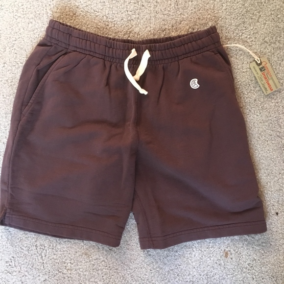 todd snyder champion shorts